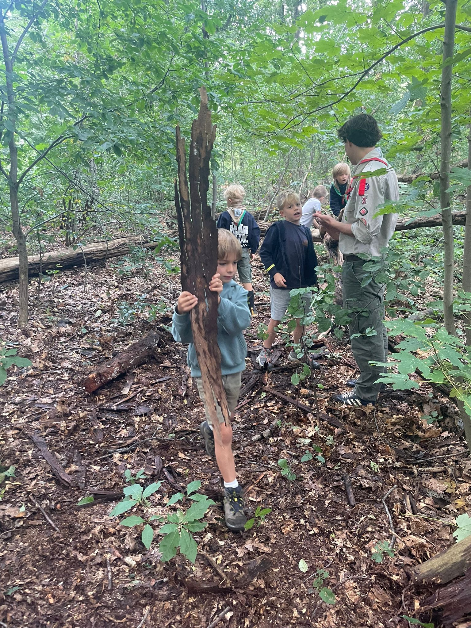 Sint-Martinus den XIIde - Opening 2024